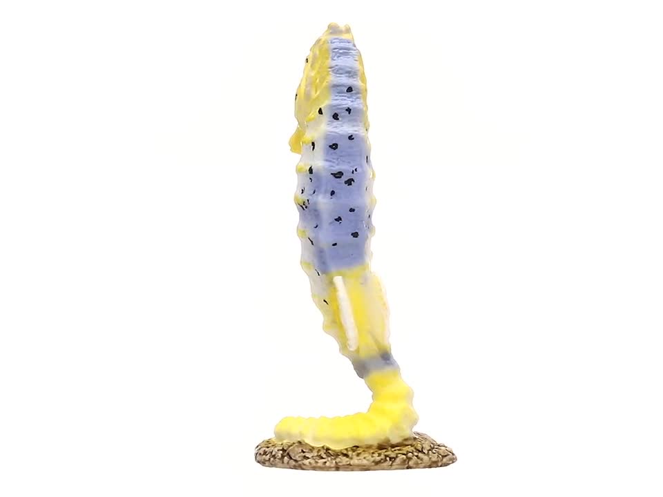 Amazon.co.jp: Schleich シュライヒ ワイルドライフ タツノオトシゴ